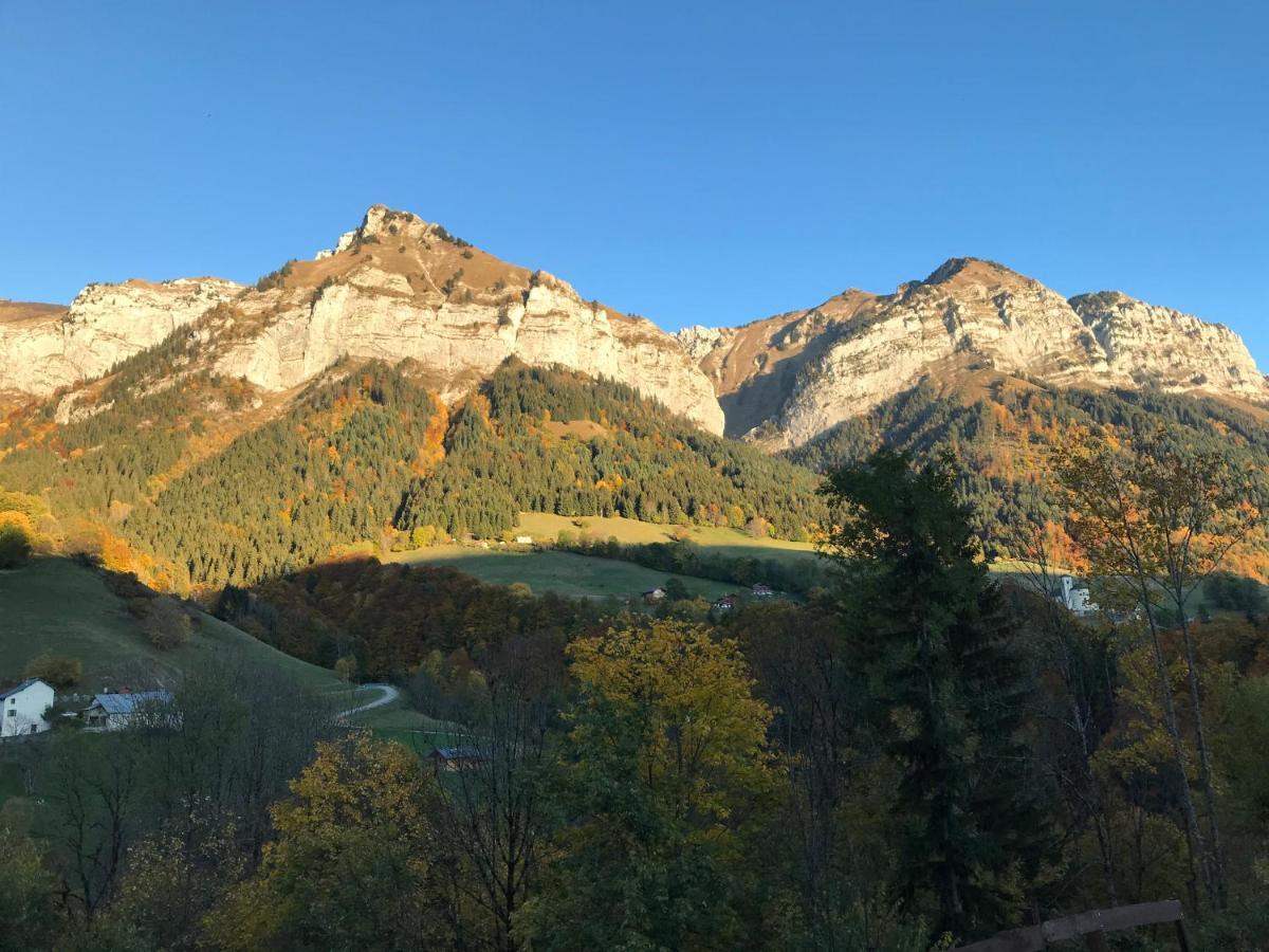 Magnifique T3 Entre Lac Et Montagne Pres D'Annecy Montmin Екстериор снимка