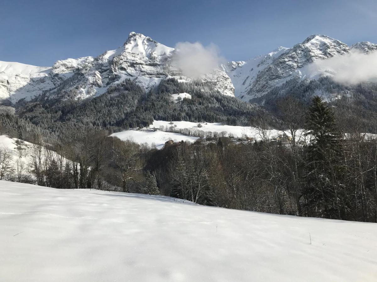 Magnifique T3 Entre Lac Et Montagne Pres D'Annecy Montmin Екстериор снимка