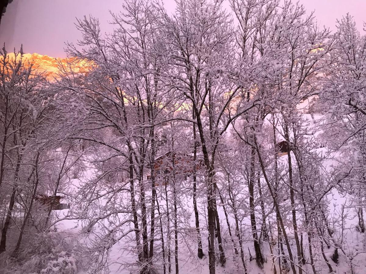 Magnifique T3 Entre Lac Et Montagne Pres D'Annecy Montmin Екстериор снимка